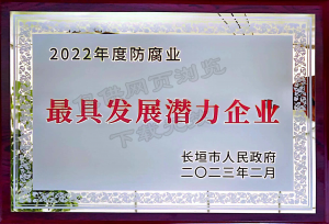 *具发展潜力企业